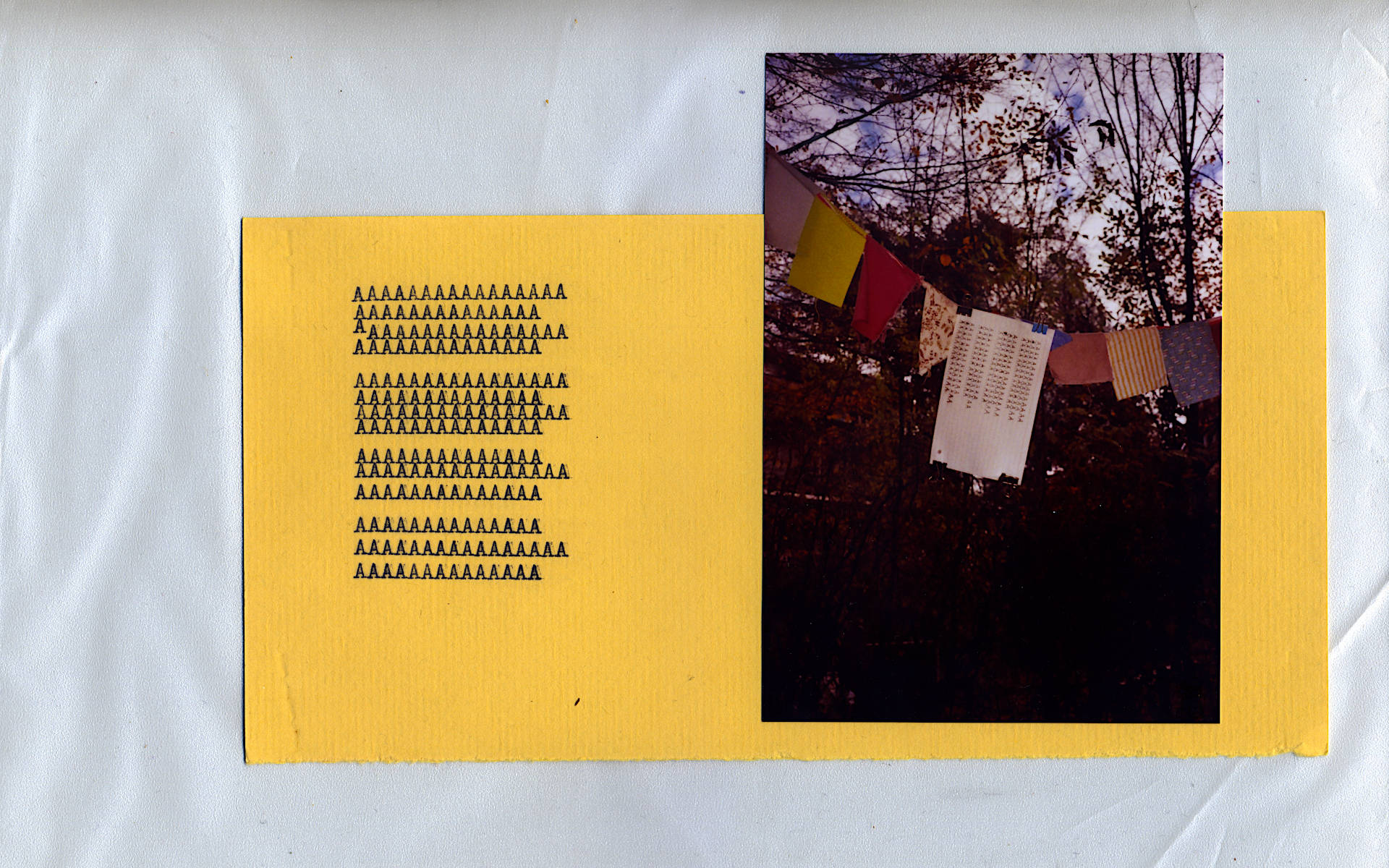 two versions of a wet and dried sonnet. Yellow cardboard with typewriter written poem and a photographic picture of the drying process of a previous version on paper