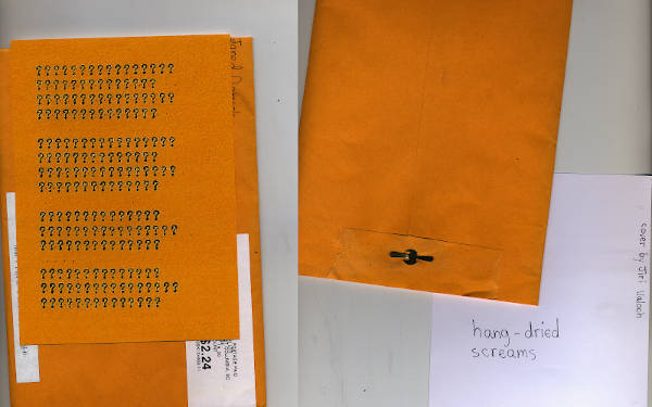 the original poem “hang-dried screams” on the backside of a sonnet written with only question marks. The question mark cover by Jiri Valoch