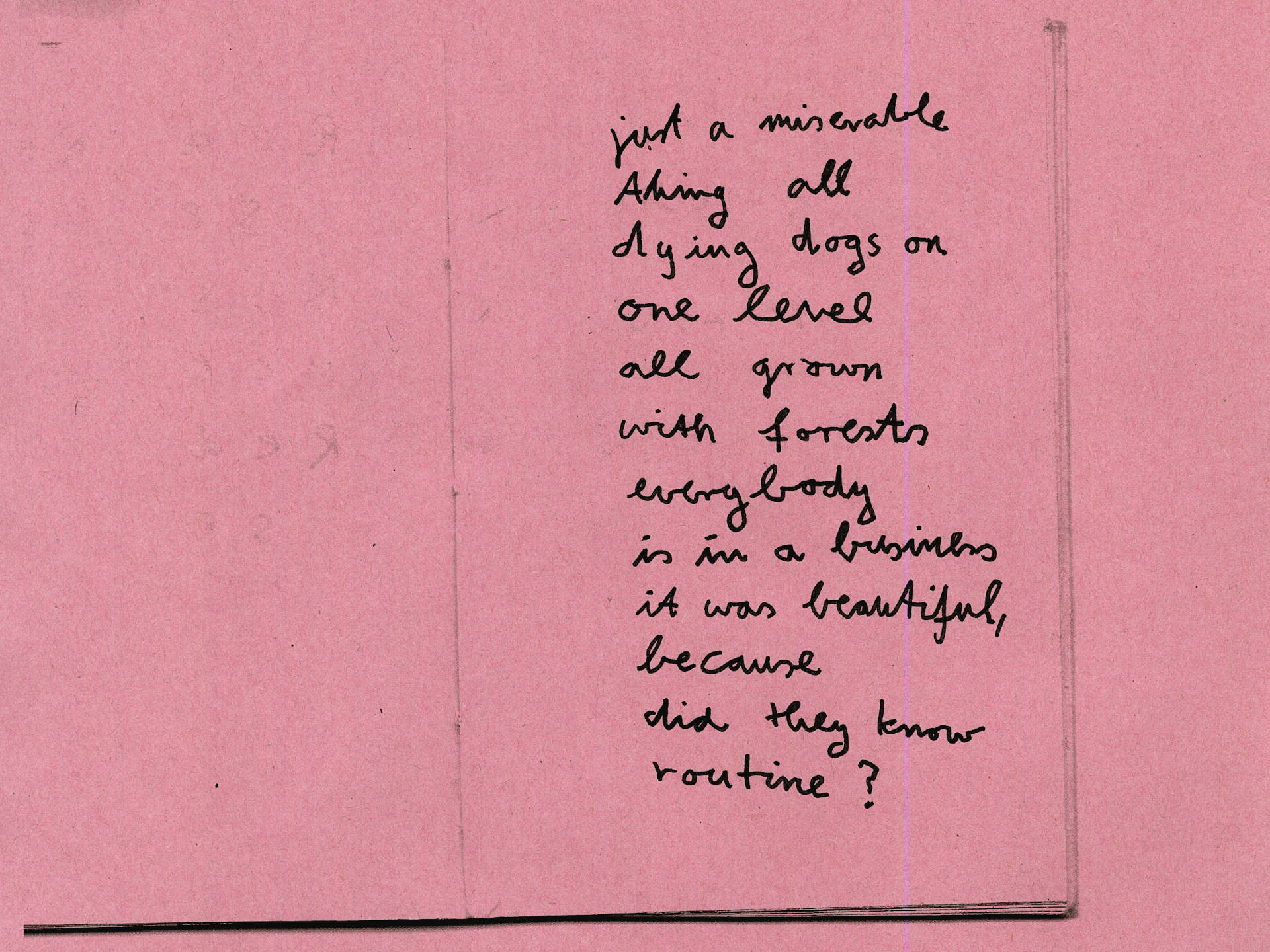 printed copy of handwritten poem