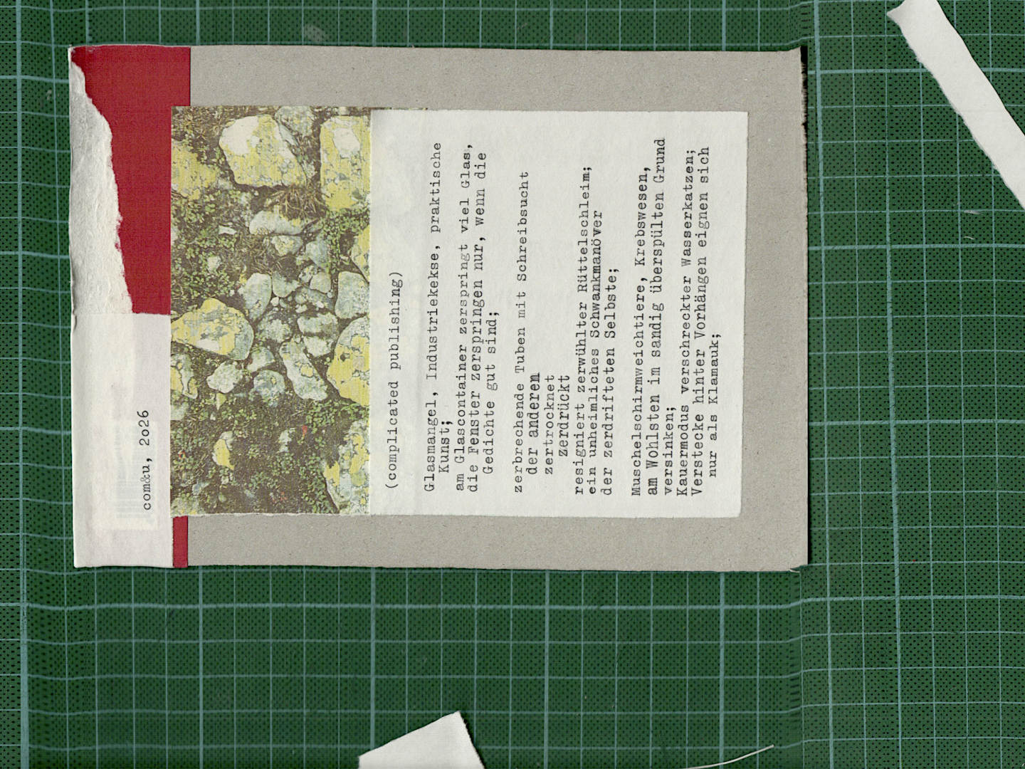 typewriter script and a picture of lichen